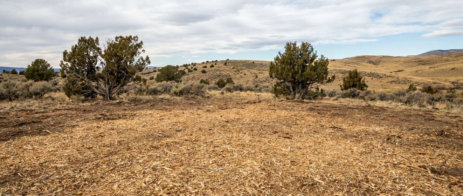 Freshly masticated wood chips forming an even mulch layer across cleared ground